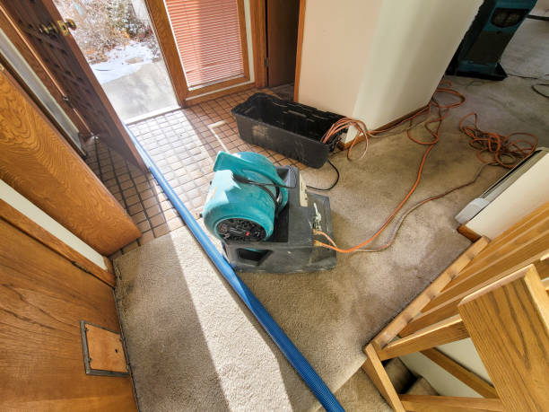  Whiteman Af, MO Water damage restoration Pros