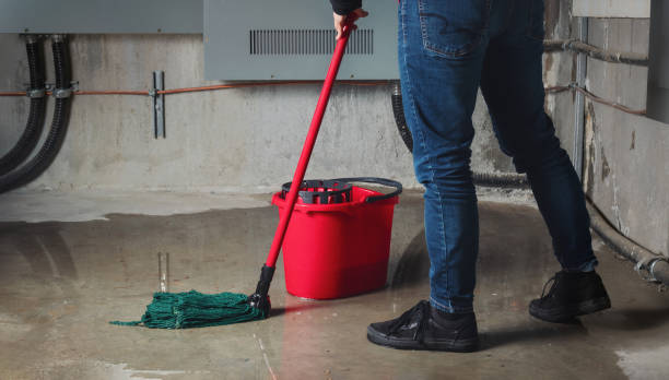 Best Ceiling water damage repair  in Whiteman Af, MO