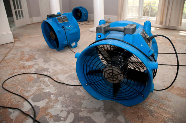 Best 24-hour water damage restoration  in Whiteman Af, MO