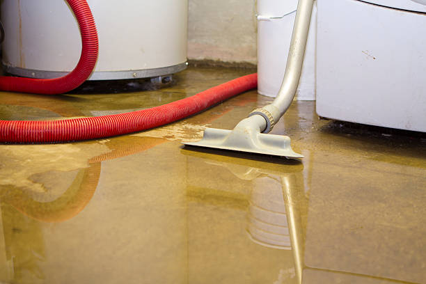 Best Flood damage cleanup  in Whiteman Af, MO