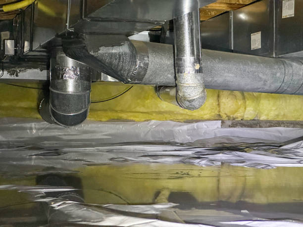 Best Ceiling water damage repair  in Whiteman Af, MO