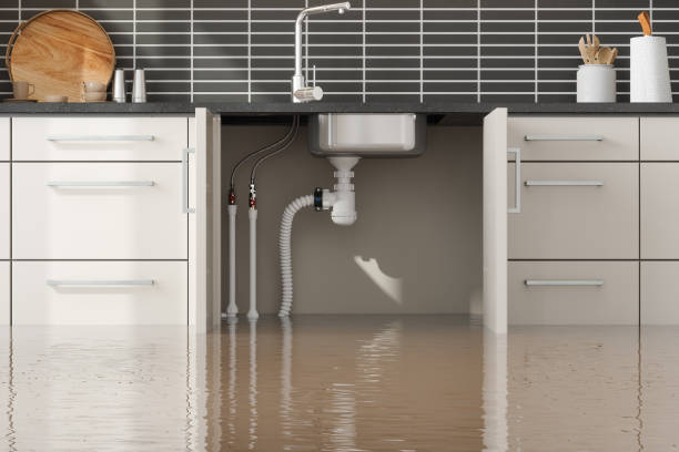 Best Water damage cleanup near me  in Whiteman Af, MO