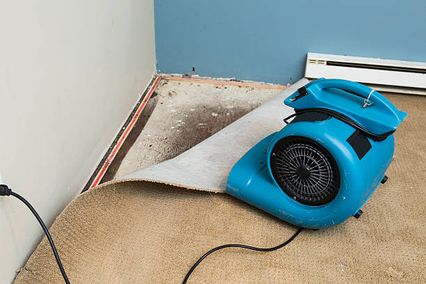 Best Emergency water damage restoration  in Whiteman Af, MO